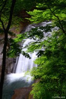 /album/%e5%a4%8f/a1-4-1-jpg/